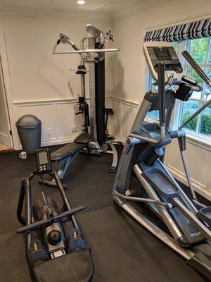 Equipment and floor mats from Treadmill Outlet in my home gym.