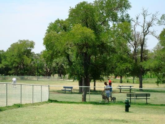 A view of a shady seating area in the big dog park