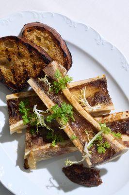 Bone Marrow