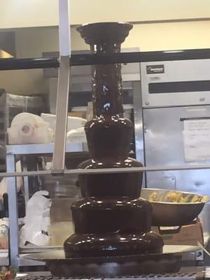 the popular chocolate fountain of youth