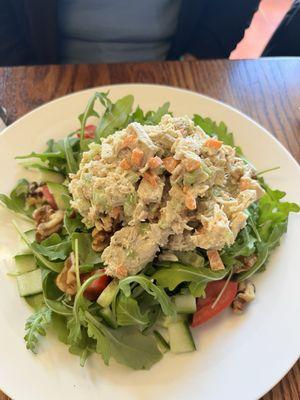 Arugula salad with home made chicken salad. Beautifully made and absolutely delicious!