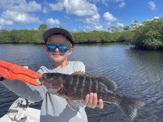 Cubera snapper