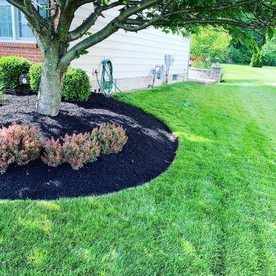 #lawncare #powellohio