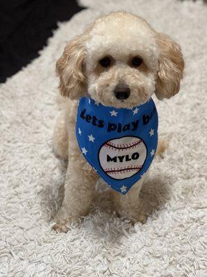 Bark Avenue Grooming