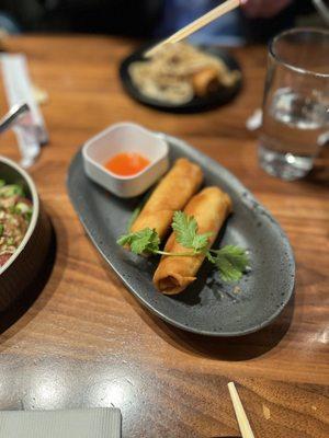 Crispy Vegetable Spring Rolls