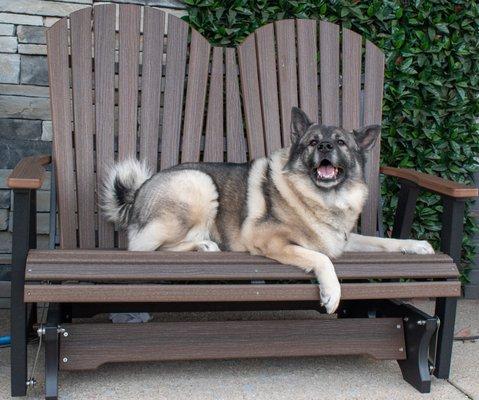 Berlin Gardens Glider.  Pet Friendly Outdoor Furniture