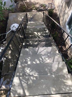 Steps Cleaned