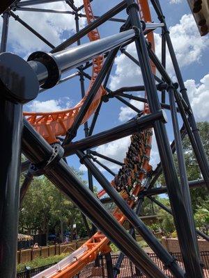 Tigris, new BG ride. Fun, but intense.