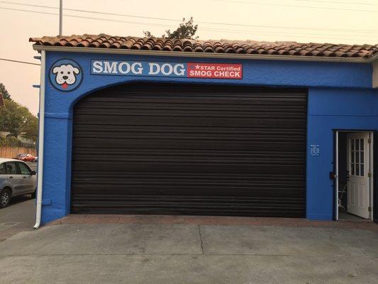 Smog Dog on Sonoma Blvd.