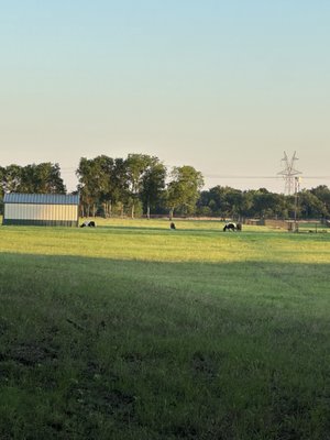 Wylie Community Park