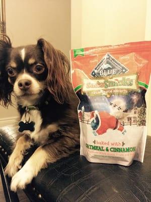 Blue Buffalo "Santa Snacks" in oatmeal and cinnamon. Stock up on this seasonal item... My little guy loves them!