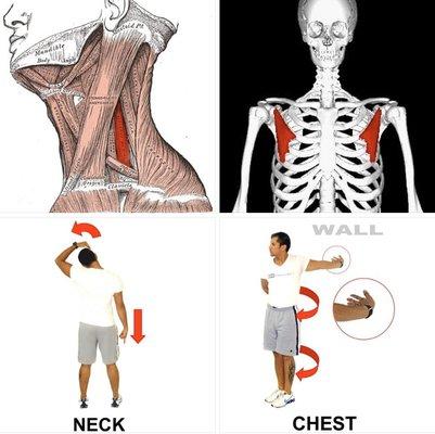 Body Mechanics Acupuncture