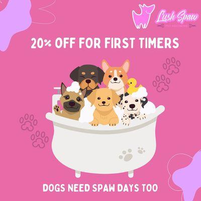 20% Off for First Timers! Visit www.lushspaw.com for more details