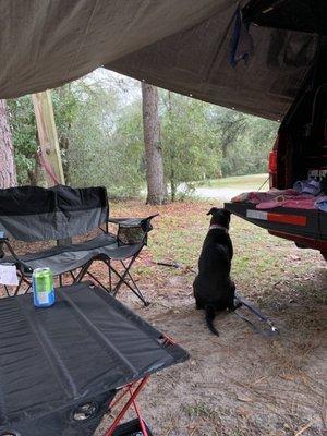 Our set up on a rainy afternoon at the campsite