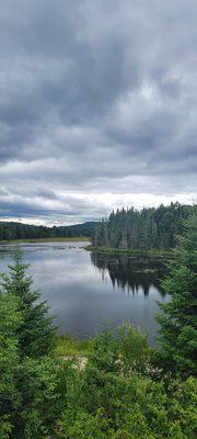 Scenic view from train ride.