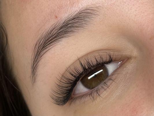 Classic lashes