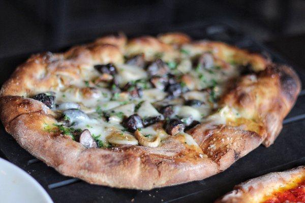 Roasted Seasonal Mushrooms , Truffle Cheese Pizza