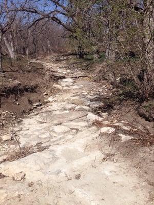 Dry creek bed