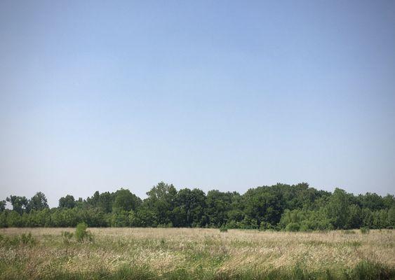 As the county's largest park, Indian Camp Creek has  a lot of open space.