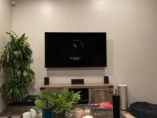 Mounted TV