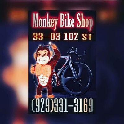 Monkey Bike Sale & Repair II