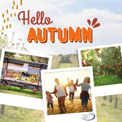 Autumn days have arrived 🍂 Schedule your dental checkup today!  Call: 773-647-1022