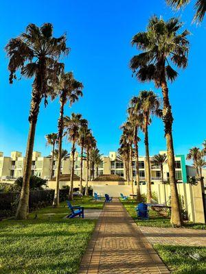 Hammock area on grounds of hotel