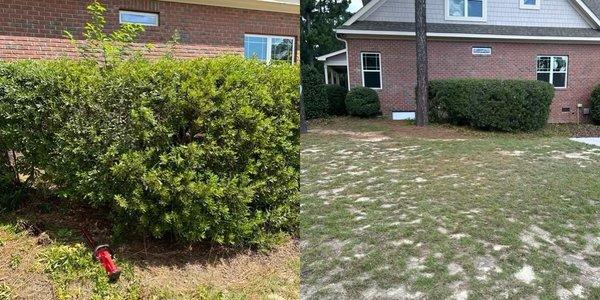 A before and after photo of hedge trimming done around the home located in Whispering Pines, NC!