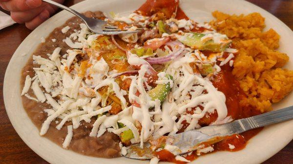 Enchilada and tamale special