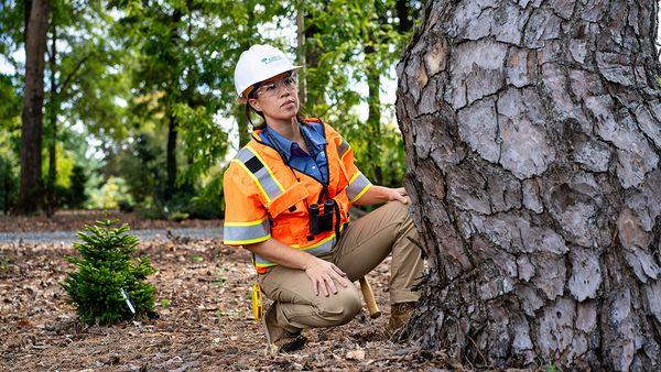 Bartlett Tree Experts - Fort Worth