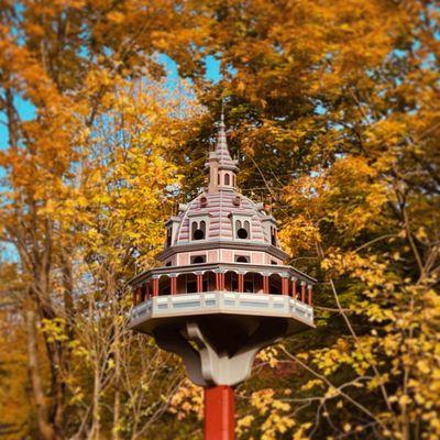 The Octagon (Bird) House