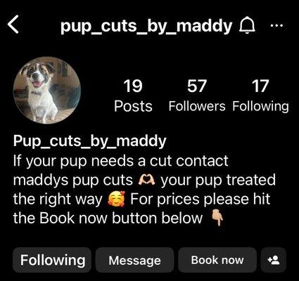 Pup Cuts By Maddy, Where Convenience Meets Care!