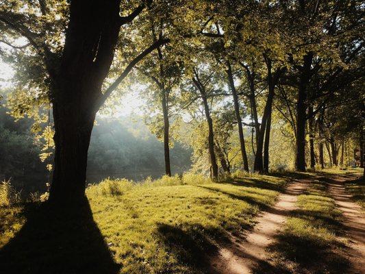 Summer morning at the campground