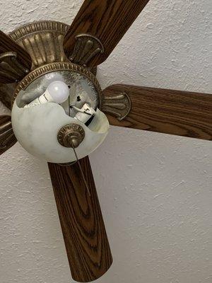 Ceiling fan