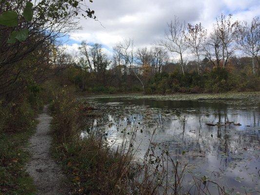 Trail around the lake