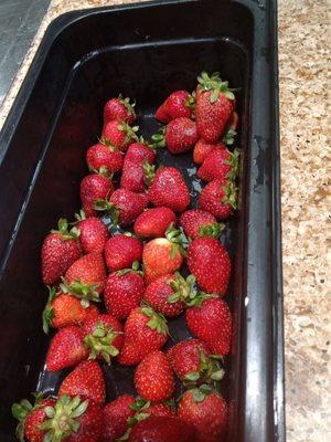 lady gets up mad,,,her son was eating strawberries off the desert Buffet. there was bugs crawling on the strawberries.