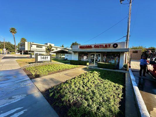 The landscape people doing a great job with the garden outside Record Outlet.