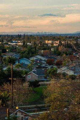 View of The Los Angeles Skyline as seen from El Modena Park.