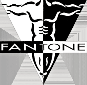 FantoneFitness.com