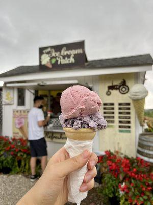 Ice cream Double Scoop ($8) -  Strawberry and blueberry fresh fruit!