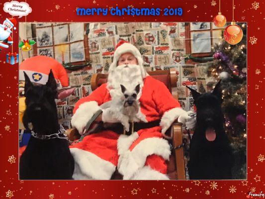 The queen sits on Santa's Lap while to two minions make sure no one steals Santa's cookies!