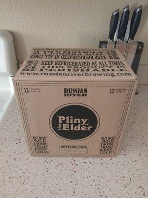 Case of Pliny the Elder