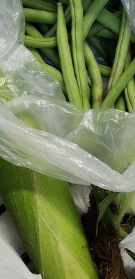 Fresh sweet corn and green beans.