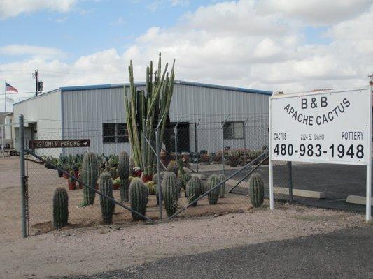 Come and check out our store for your cactus needs and see more southwest gifts and functional or decorative pottery inside.