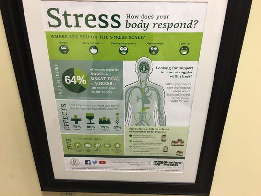 Stress!    Everyone has some and Dr Joe Gulyas can help you manage your stress