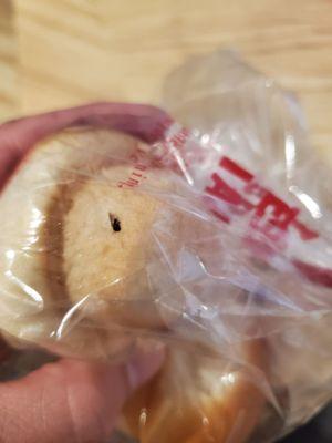 Bug baked into the bread