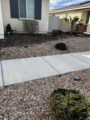 They trimmed the little bushes all around the front yard.