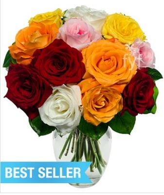 Mixed Colored Roses