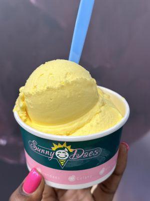 Mango Sorbet