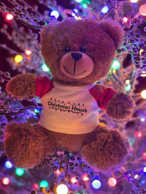 The Christmas House Teddy!